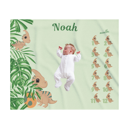 Personalized Dinosaur Milestone Baby Boy Blanket – Velveteen Plush Fleece