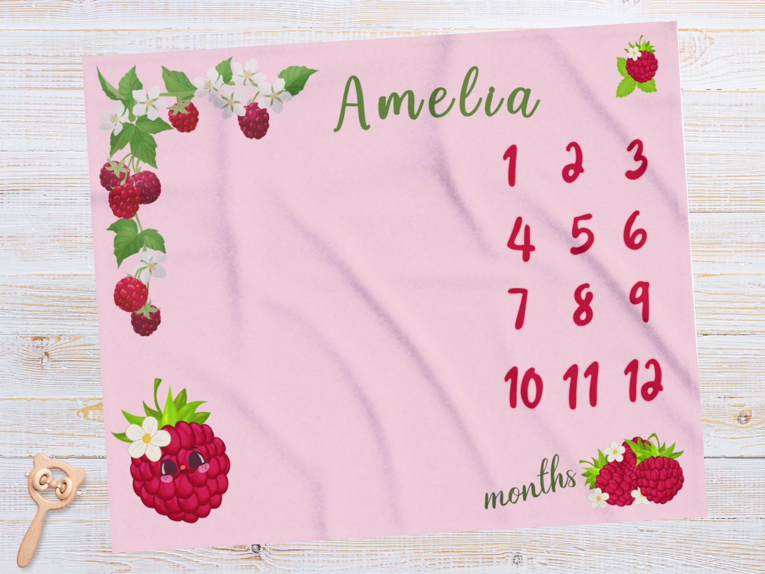 Personalized Baby Girl Milestone Blankets
