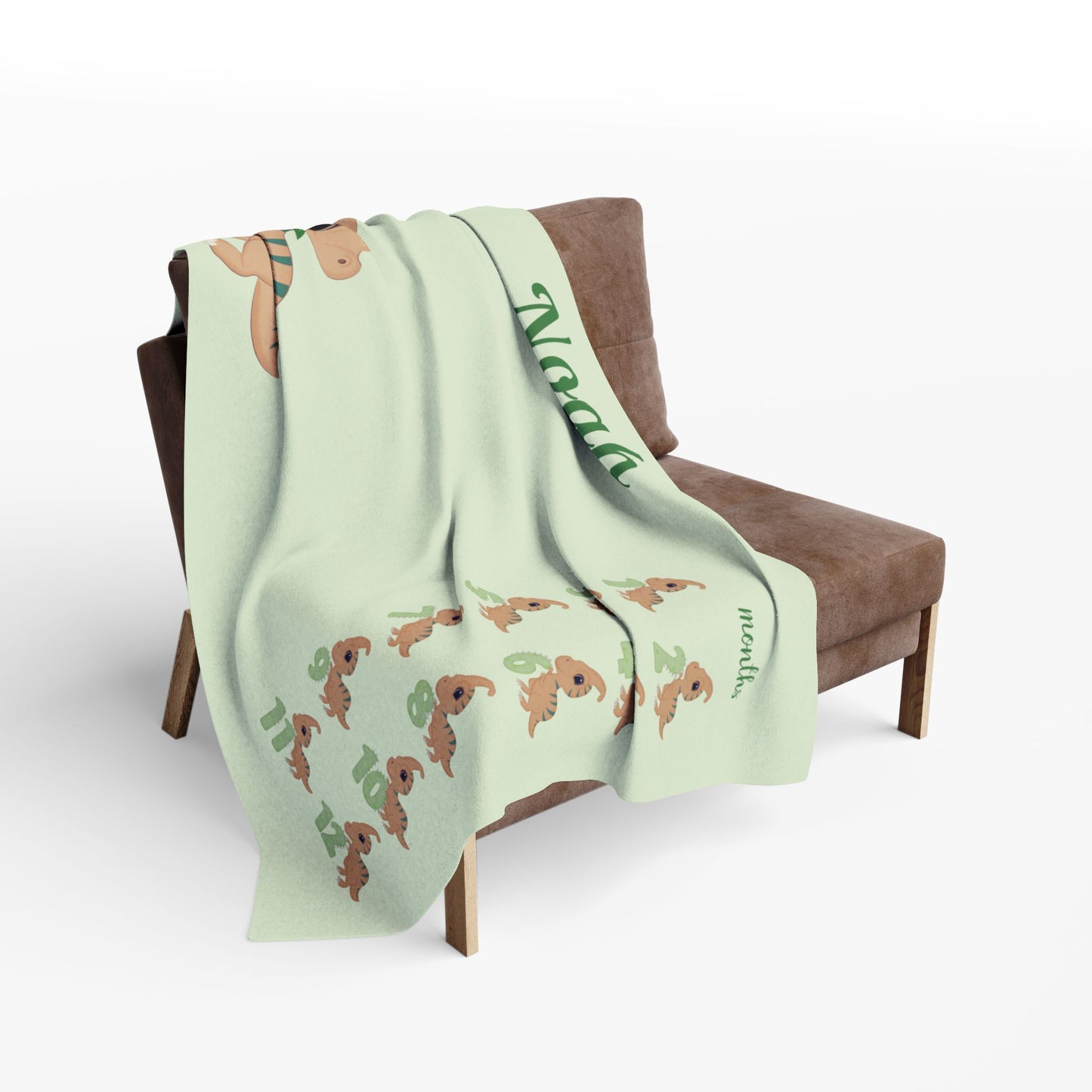Personalized Dinosaur Milestone Baby Boy Blanket, Velveteen Plush Fleece