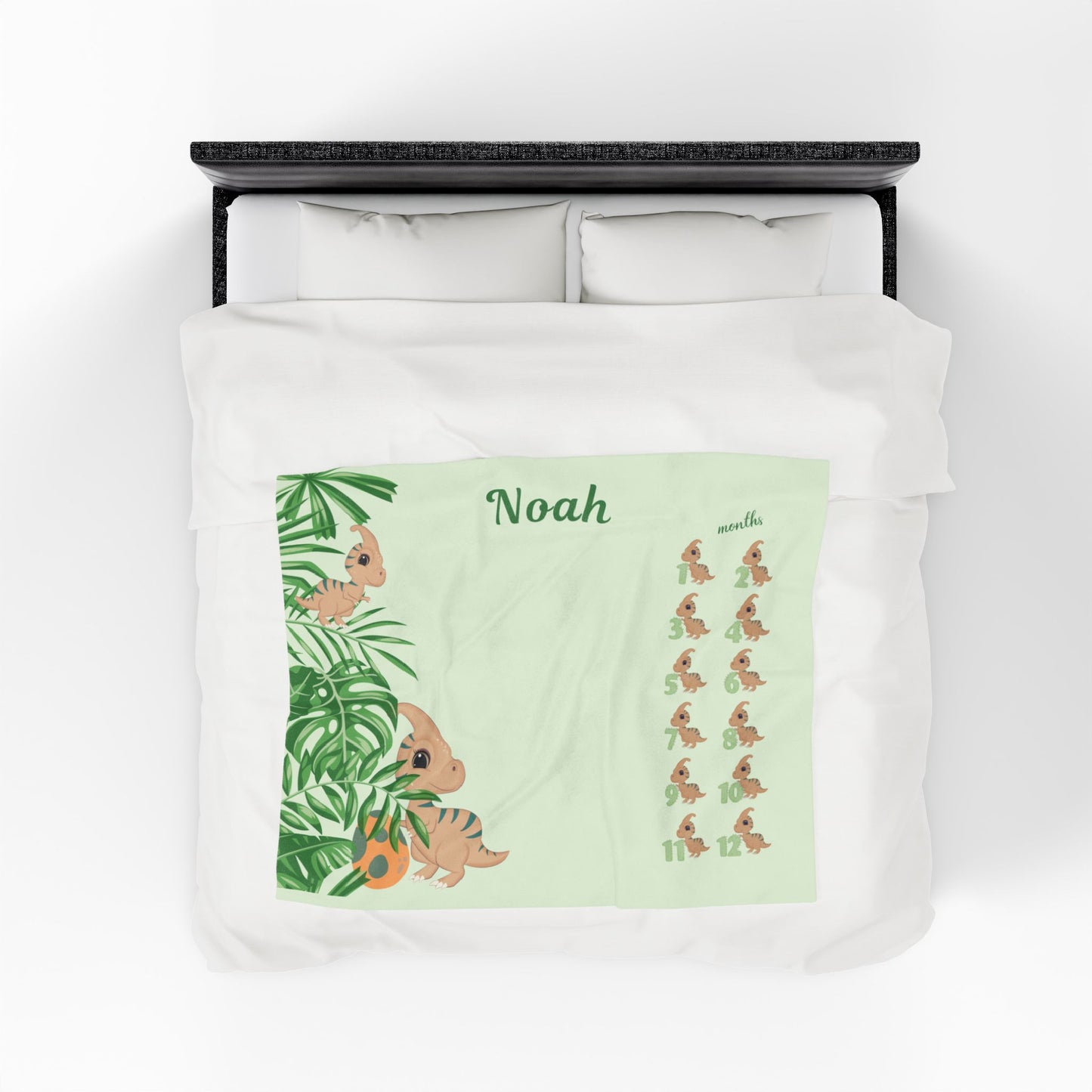 Personalized Dinosaur Milestone Baby Boy Blanket, Velveteen Plush Fleece
