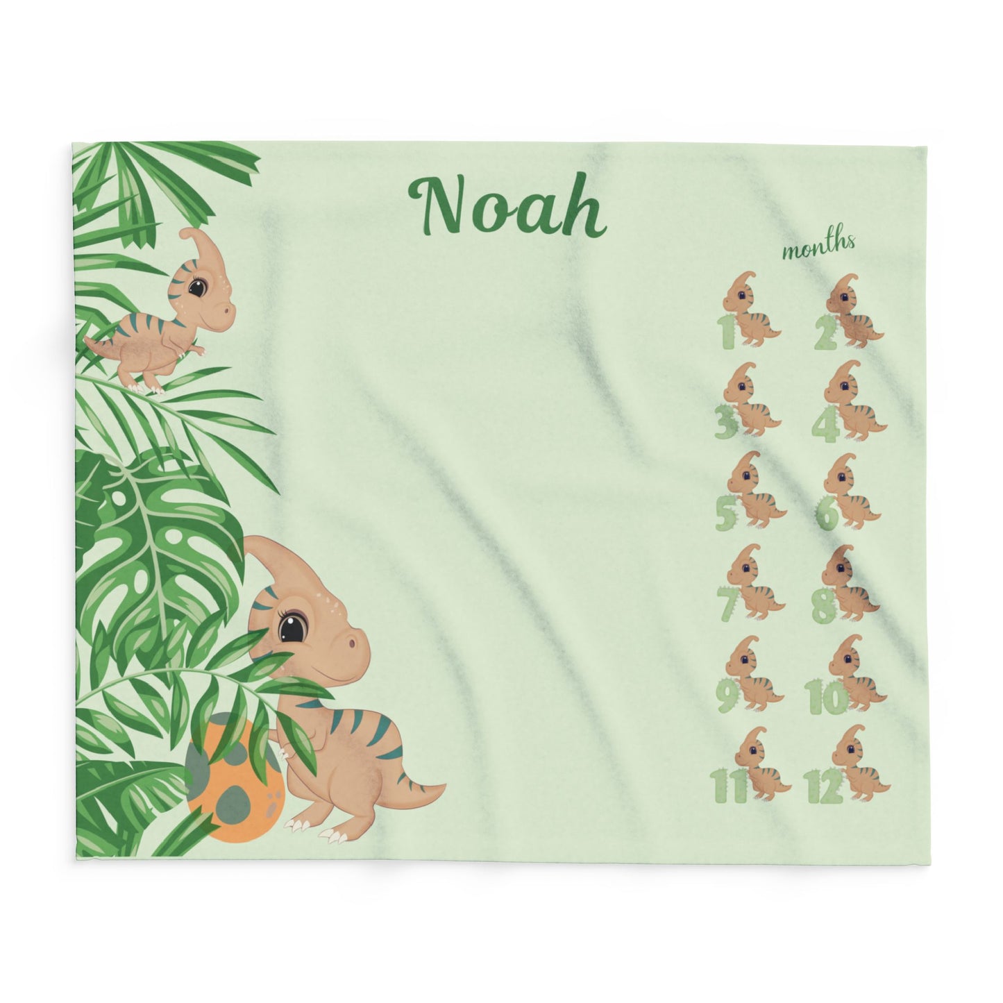 Personalized Dinosaur Milestone Baby Boy Blanket, Velveteen Plush Fleece