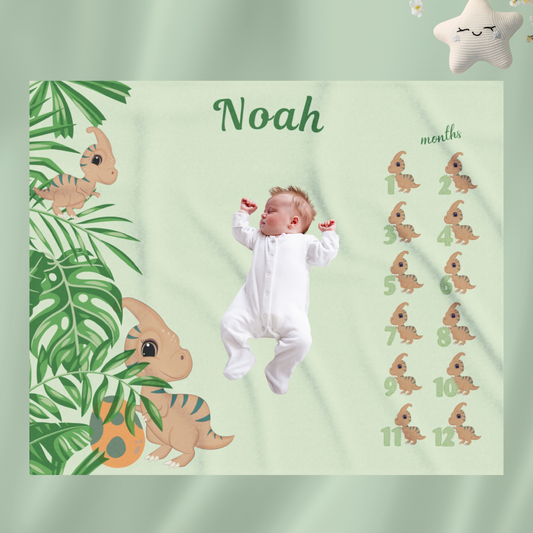Personalized Dinosaur Milestone Baby Boy Blanket, Velveteen Plush Blanket