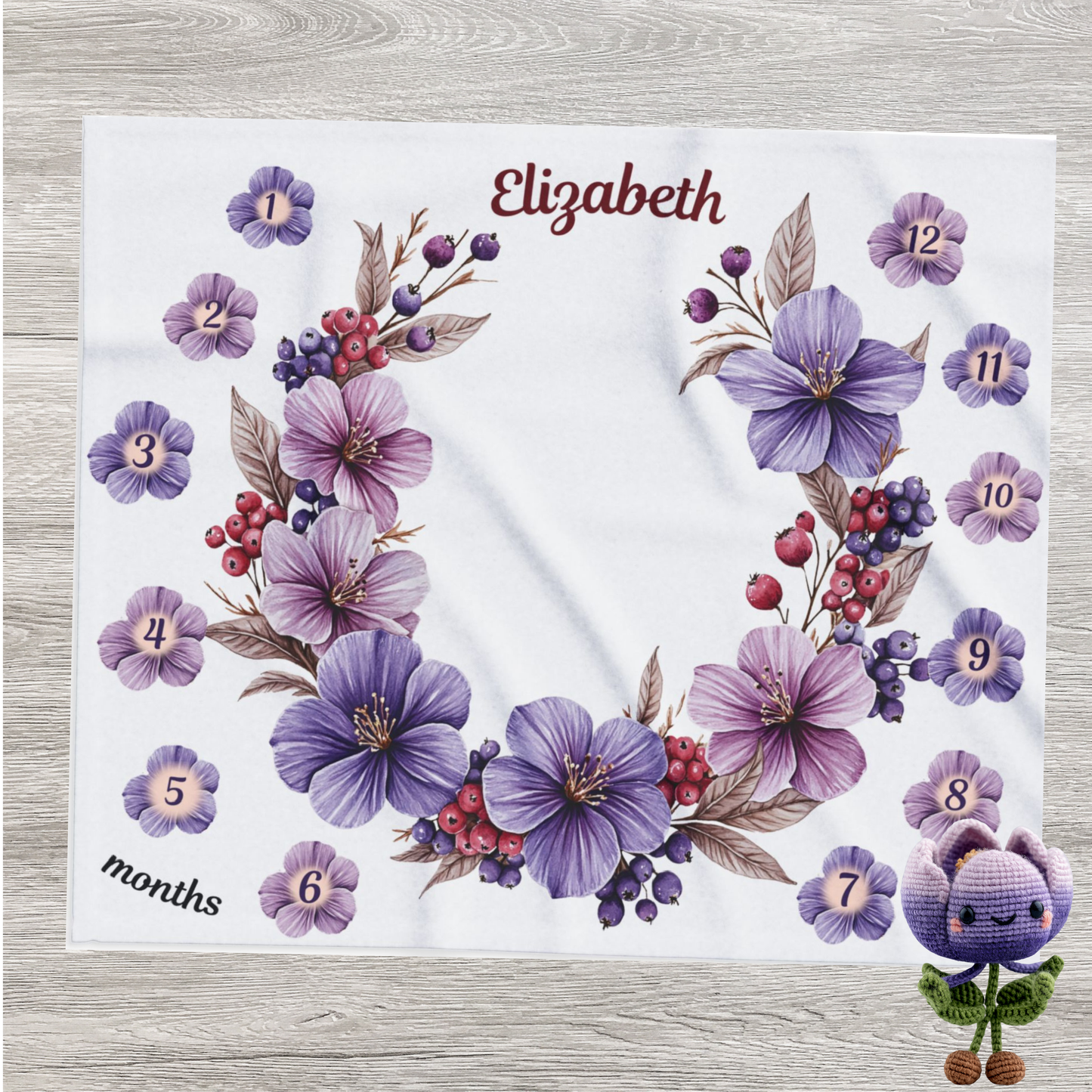 Personalized Floral Baby Girl Milestone Blanket, Velveteen Plush Blanket, Newborn Photo Prop