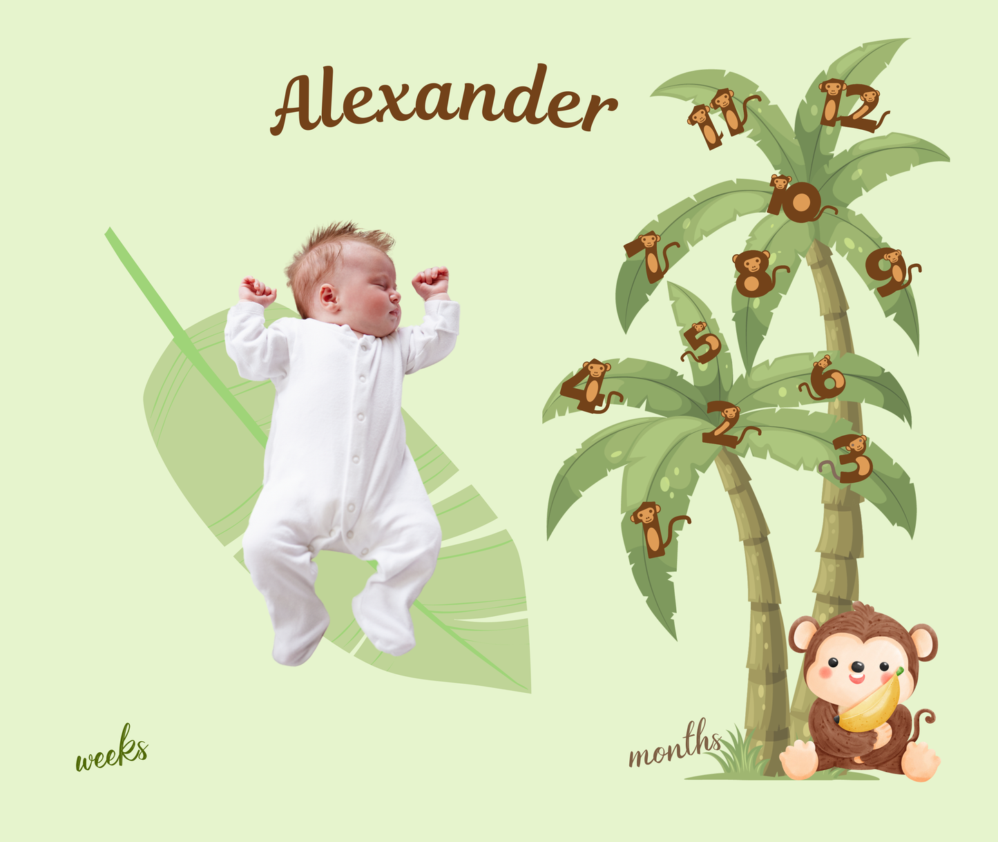 Personalized Jungle Monkey Milestone Baby Boy Blanket – Soft Velveteen Plush Fleece
